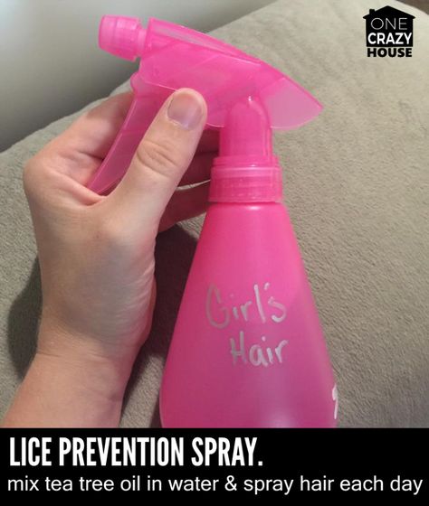 Best Way To Get Rid Of Lice And Nits, How To Prevent Lice, Tea Tree Oil Lice, Lice Prevention Spray, Tea Tree Oil Hair, Lice Spray, How To Treat Lice, Lice Remedies, Hair Lice