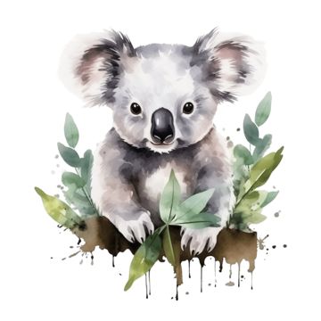 Diy Canvas Paintings, Koala Clipart, Painting With Water, What To Paint, Koala Bears, Cute Painting, Cute Animal Art, Watercolor Cute, Flowers Clipart