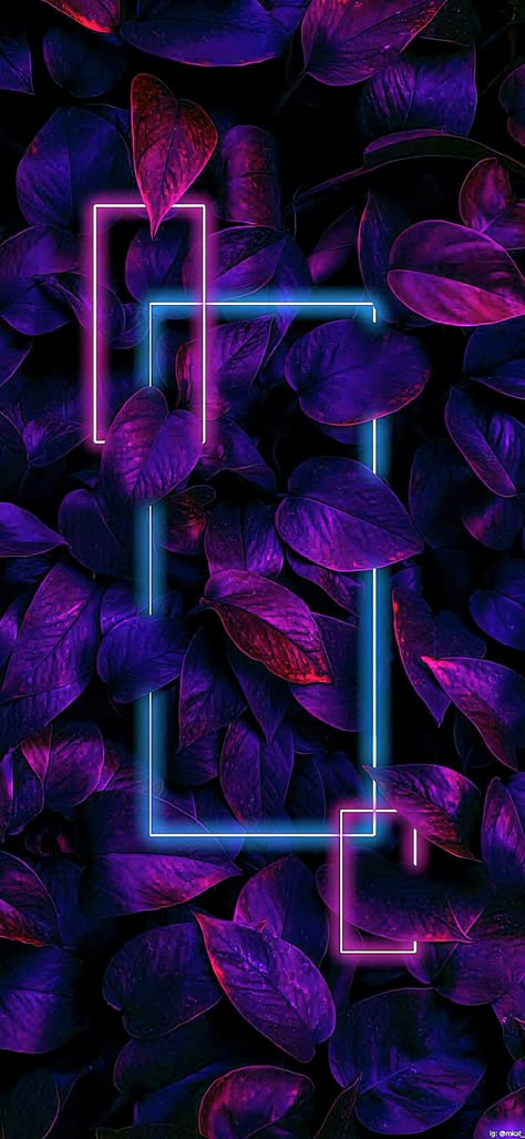 Neon Basement, Dark Neon Aesthetic, Neon Aesthetic Wallpaper, Whatsapp Background, Wallpaper Pfp, Plant Wallpaper, Neon Aesthetic, Dark Phone Wallpapers, Digital Stickers