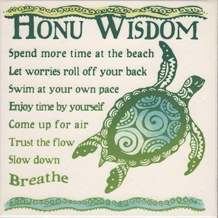 Turtle Quotes, Terrapin, Turtle Love, Beach Quotes, A Turtle, Sea Turtles, Spirit Guides, A Sign, Kauai