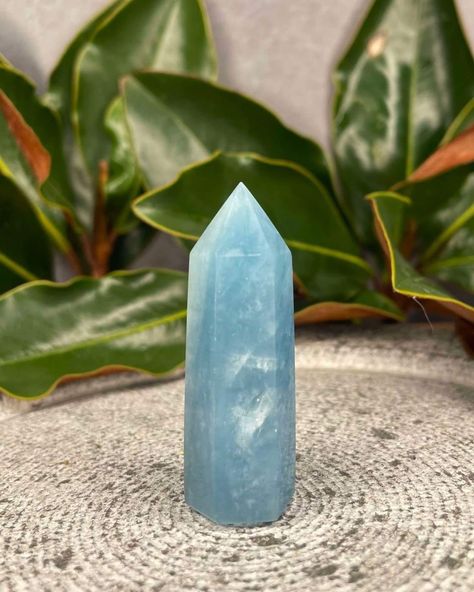 💙 New Aquamarine Towers 💙 4 Available @running_wild_supplies #shopnow #aquamarine #crystals #crystalsaustralia #crystalsforsale #crystalaustraliashop Tropical Sea, Crystal Aesthetic, Crystals For Sale, Crystal Tower, Wholesale Gifts, Aquamarine Crystal, Skull Carving, Crystal Shop, Crystal Collection