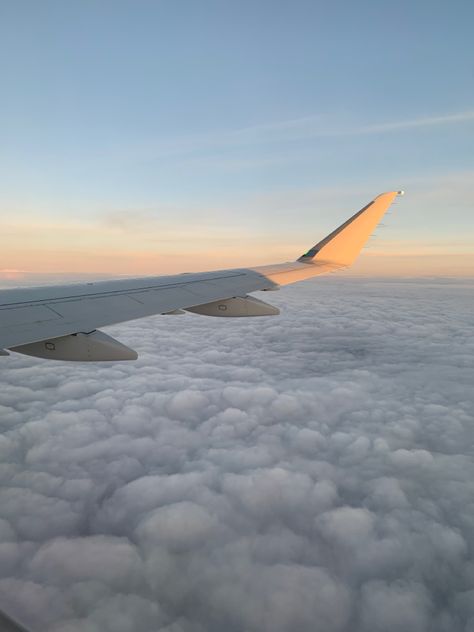 Early Flight Aesthetic, Early Morning Flights Aesthetic, Japan Flight Aesthetic, Airplane Asethic, Plane Flight Aesthetic, Aesthetic Aeroplane, Aeroplane Aesthetic, Trips Aesthetic, Aeroplane View