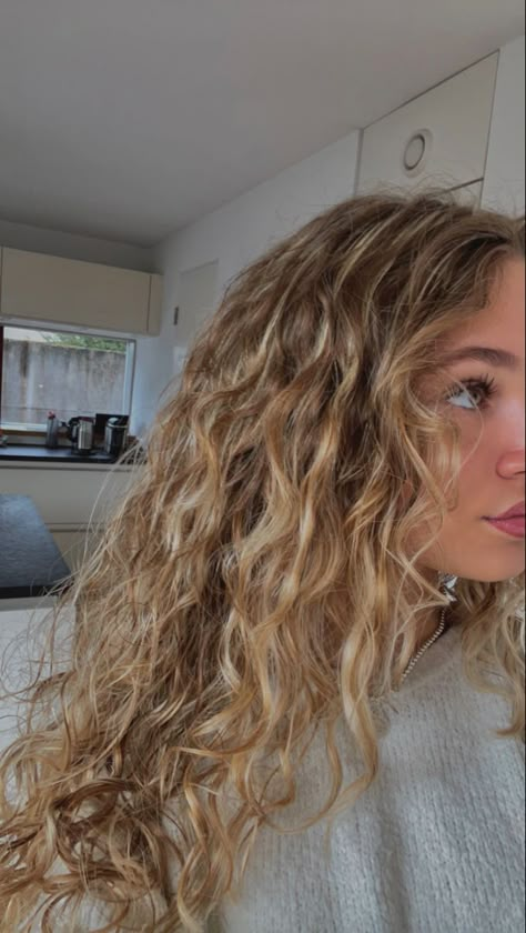 Fall Blonde Hair Curly, Wavy Hair Blonde Balayage, Blond Natural Curly Hair, Lightly Highlighted Hair, 2b Face Framing Layers, Curly Blonde Hair Balayage, Sandy Blonde Curly Hair, Curly Blond Highlight, Golden Blonde Highlights Curly Hair