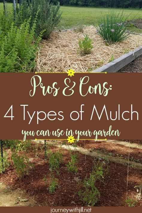 Mulch is essential to weed control, but which should you choose? Here are the pros and cons of 4 types of mulch you can use in your garden -- wood chips, pine needles, hay, and straw. #mulch #garden #ideas #weedcontrol Garden Mulch, Types Of Mulch, Peg Boards, Mulch Landscaping, Vegetable Garden Raised Beds, Garden Pest Control, Organic Vegetable Garden, Garden Types, Home Vegetable Garden