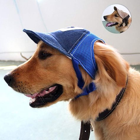 Dog Sunscreen, Protective Dogs, Sun Dogs, Sun Protection Hat, Outdoor Hats, Dog Eyes, Dog Hat, Summer Dog, Sporting Dogs