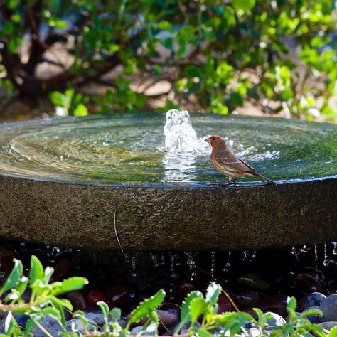 Gardens With Fountains Ideas, Water Feature Bird Bath, Fountain On Deck, Water Feature For Birds, English Garden Fountain Water Features, English Garden Fountain, Small Outdoor Water Features, Bird Fountain Diy, Rustic Water Feature