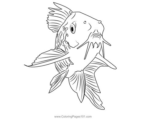 Corydoras Catfish Coloring Page Northern Pike, Sign Image, Lake Fishing, Sharp Teeth, Photoshop Backgrounds, Digital Clip Art, Linocut, Coloring Pages For Kids, Drawing And Illustration