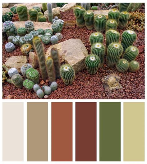 Spring preserves - Mojave Desert and Vegas inspired Color Palettes | Dzzyn Desert Bedroom, Color Scenes, Desert Color Palette, Colour Crush, Photoshop Help, Seeds Color, Desert Decor, Art Colour, Desert Colors