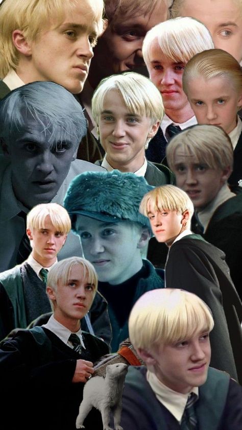 Draco Malfoy Funny, Draco And Hermione Fanfiction, Draco Malfoy Hot, Draco Malfoy Imagines, Draco Lucius Malfoy, Slytherin And Hufflepuff, Malfoy Aesthetic, Harry Potter Draco, Harry Draco