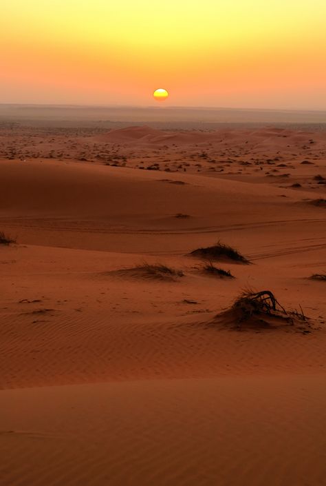 https://flic.kr/p/9tqgHU | desert sunset Desert Aesthetic, Deserts Of The World, Desert Dream, Desert Vibes, Desert Sunset, Desert Landscaping, In The Desert, Sand Dunes, Beautiful Sunset