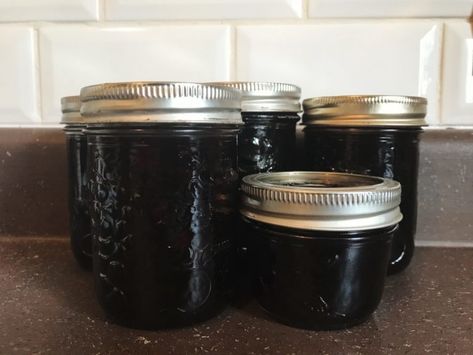 Saskatoon Jelly Recipe, Saskatoon Jam Recipe, Saskatoon Berry Jam, Saskatoon Jam, Saskatoon Berry Recipe, Amelanchier Alnifolia, Saskatoon Berry, Preserving Foods, Berry Jam