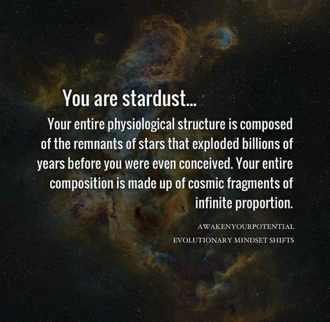 Stardust Quotes, Astronomy Quotes, Quantum Physics Spirituality, Astronomy Facts, Space Facts, Universe Quotes, Spirit Science, Science Facts, Space And Astronomy