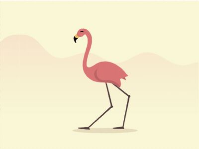 Flamingo Stroll Flamingo Animation, Bird Animation, Walking Animation, Flamingo Vector, Motion Graphics Logo, Adobe Animate, My Melody Wallpaper, Animated Animals, Motion Graphics Design