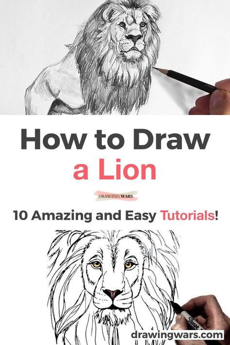 The Best 10 Tutorials on How to Draw a Lion Step by Step. Learn How to Draw a Lion Easy with the Best Online Video Tutorials for Kids and for Adults with acrylic, watercolor, pencils, charcoal and many more techniques! How To Draw A Lion Step By Step For Kids, How To Draw A Lion For Kids, How To Draw A Lion Face, How To Draw A Lion Step By Step Easy, How To Draw A Lioness and more! They're easy for beginners, intermediate and advanced artists! Drawing ideas with pencils and more techniques! Lion Watercolor Painting Simple, Watercolor Lion Painting Easy, Lion Acrylic Painting Easy, How To Paint A Lion, How To Draw A Lion Step By Step, Lion Painting Easy, Draw A Lion Easy, Simple Lion Drawing, Lamb Sketch