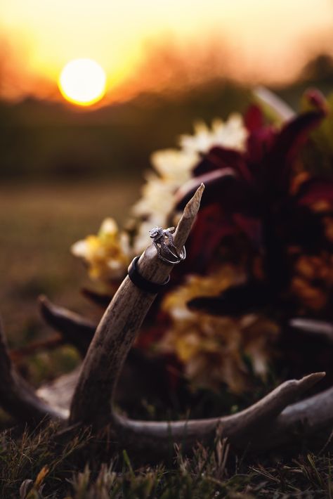 I Loved the feel of this rustic Fall wedding! The deer antlers from their first buck they bagged together; now holding their wedding rings! Wedding Centerpieces With Deer Antlers, Hunter Wedding Ideas, Deer Antler Wedding Decor, Hunting Wedding Ideas, Antler Wedding Decor, Hunting Wedding Theme, Hunters Wedding, Deer Antler Wedding, Antler Wedding Rings