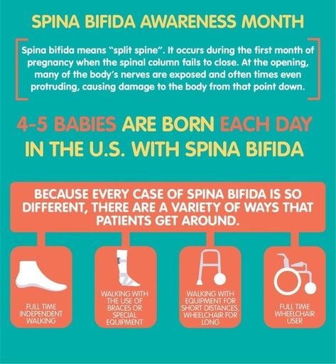 Spina Bifida AWAREness – Did You Know? – LaCartera Designs Spinal Bifida, Spina Bifida Awareness Month, Wheelchair Quotes, Spina Bifida Awareness, First Month Of Pregnancy, Spinal Column, Spina Bifida, Angel Baby, Warrior Princess