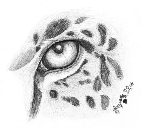 Leopard Drawing, Jaguar Tattoo, Pencil Drawings Of Animals, Animal Drawings Sketches, Eye Sketch, Drawing Faces, Tattoo Stencil, Pencil Art Drawings, Cat Eyes