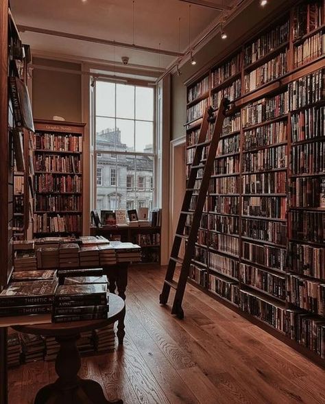 Cosy Bookshop Aesthetic, Bookshelf With Ladder, Settings Aesthetic, Thriller Aesthetic, Book Store Aesthetic, Light Academia Books, Old Bookstore, Cozy Bookstore, Cozy Hideaway