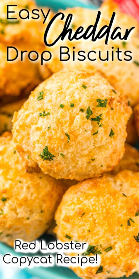 Cheddar Cheese Recipes Dinners, Best Cheese Biscuits, Easy Cheesy Biscuits, Garlic Drop Biscuits, Cheddar Cheese Desserts, Cheddar Buiscits Recipes, Cheddar Drop Biscuits, Cheddar Drop Biscuits Easy, Cheesy Biscuit Recipe