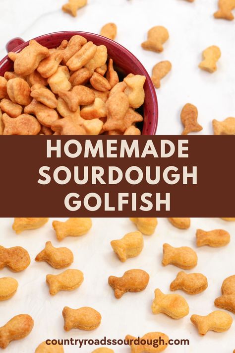 This homemade Sourdough Goldfish recipe is cheesy, crunchy, made with wholesome ingredients and even better than the store-bought version! Sourdough Discard Goldfish Crackers, Discard Sourdough Biscuits, Sourdough Goldfish Crackers, Sourdough Goldfish, Goldfish Recipe, Sourdough Crackers, Goldfish Food, Sourdough Biscuits, Cracker Recipe