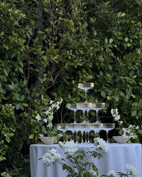 Potted Wedding Flowers, Outdoor Garden Wedding Ceremony, Romantic Wedding Tablescape, Estate Wedding Aesthetic, French Country Side Wedding, Minimal Garden Wedding, Wedding Lighting Indoor Receptions, Wedding Decorations Green, Outdoor Reception Ideas