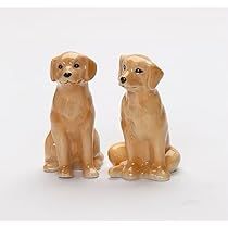 Black Labrador Dog, Golden Labrador, Yellow Labrador Retriever, Salt And Pepper Grinders, Yellow Labrador, Labrador Dog, Labrador Retriever Dog, Black Labrador, Salt And Pepper Set