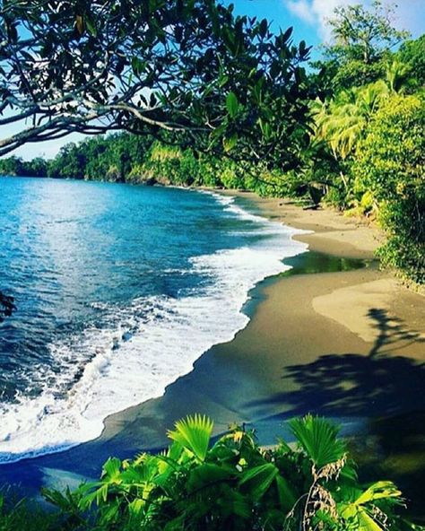 Is it Friday yet? In need of a beach & a weekend. This beach at Corcovado National Park via @costarica_natural_paradise is especially enticing. Costa Rica #vacations #crexperts #weekendready Costa Rica Landscape, Santa Teresa Beach Costa Rica, Playa Grande Costa Rica, Corcovado National Park, Playa Samara Costa Rica, Costa Rica Wildlife, Costa Rica Beaches, Wild Life, Costa Rica Vacation