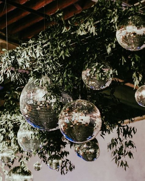 Some afternoon woodland wedding inspiration. Now who doesn’t love a mass of disco balls mixed with tropical greenery? It’s a YES from us. This makes us happy. Disco Balls And Palm Leaves, Disco Ball And Greenery, Disco Balls In Tree Wedding, Greenery And Disco Balls Wedding, Moody Disco Ball Wedding, Woodland Wedding Inspiration, Disco Balls, Woodland Wedding, Disco Ball