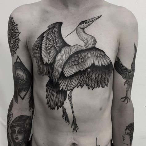 Heron tattoo by Thomas Bates #thomasbates #blackandgrey #heron #bird #feathers #wings #nature #animal #chestpiece #torsotattoo #illustrative #realism #realistic Heron Tattoo, Tattoo Feather, Bird Tattoo Meaning, Crane Tattoo, 16 Tattoo, Flying Bird Tattoo, Tattoos Mandala, Tattoos Geometric, Tattoos Skull