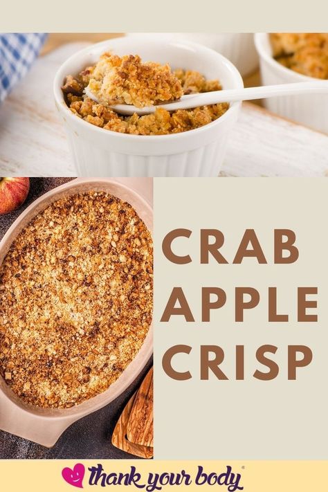 Autumn is apple season and picking apples is a fun activity to do with your family. Thank Your Body offers you a delicious recipe for Crab Apple Crisp. An all natural and delicious recipe that you wil enjoy time and again. We tell you more about Crab Apples and why, despite their bitter taste, they are a wonderful ingredient for this treat. Make up a batch and enjoy this delightful Fall snack. Check out our recipe here… #crabapplecrisp #applecrisp #applerecipe Recipes For Crab Apples, Crab Apple Recipes Easy, Crab Apple Crisp, Creative Healthy Snacks, Crab Apple Recipes, Oatmeal Crisp, Crab Apples, Picking Apples, Apple Recipes Easy