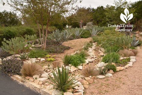 Terraced Steps, Central Texas Garden, Zero Scape, Xeriscape Front Yard, Texas Landscaping, Xeriscape Landscaping, Texas Garden, Habitat Garden, Dry Creek Bed