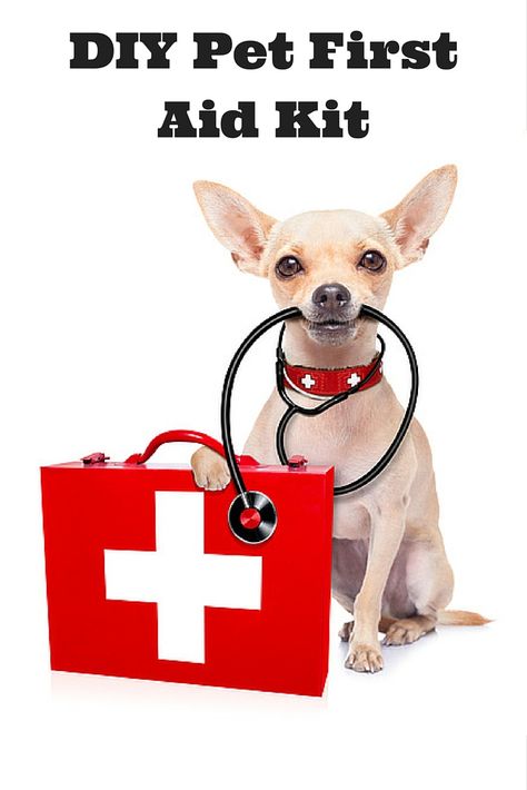 Are you prepared with a pet first aid kit that can help with minor health… Pet Emergency Kit, Pet First Aid, Dog Insurance, Veterinary Services, Dog Information, Pet Hacks, Aid Kit, Chihuahua Dogs, Cat Health