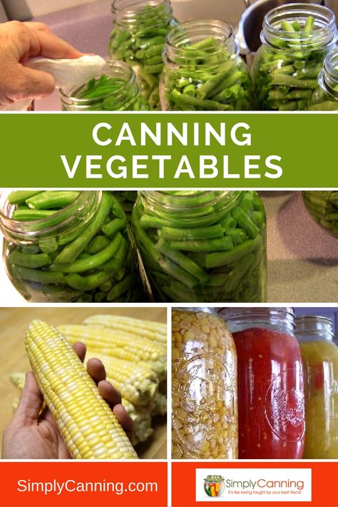 Vegetables In Mason Jars, Canning Peppers, Home Canning Recipes, Canning Vegetables, Canning Food Preservation, Canned Food Storage, Canning Tips, Canned Vegetables, Canning Tomatoes