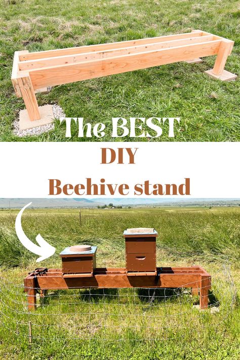 Nuc Bee Hive Plans, Bee Set Up, Bee Hives Diy How To Build, Bee Hive Boxes Diy, Honey Bee Setup, Beehive Garden Design, Bee Stand Ideas, Bee Hive Shelter Ideas, Beehive Stands Diy