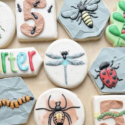 Erica on Instagram: "Bugs and more bugs for Carter’s 5th birthday!   #bugcookies #bugbirthday #spidercookies #antcookies #butterflycookies #beecookies #ladybugcookies #birthdayboy #birthdaypartydecor #birthdaypartyideas #decoratedcookies #royalicingcookies #ohiocookier #ohiobakery #ohiobaker #mamamungaibakes" Bug Decorated Cookies, Bug Cookies, Ladybug Cookies, Wildflower Party, Bee Cookies, Spider Cookies, Butterfly Cookies, January 25, Cookie Designs