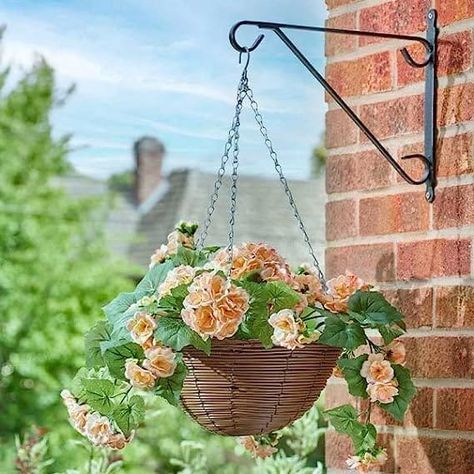 Petunia hanging baskets