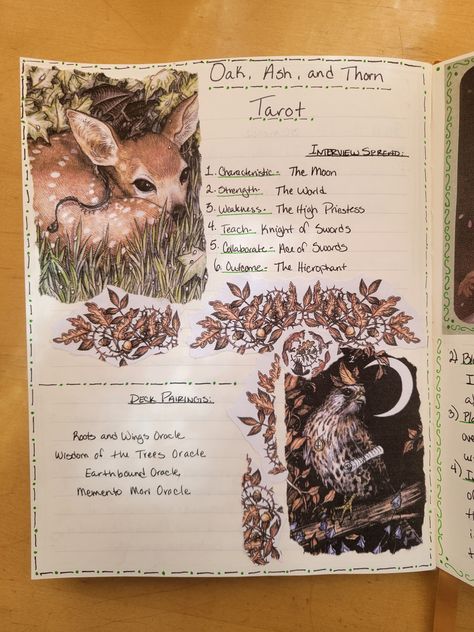 Tarot Bullet Journal, Tarot Journal Ideas, Tarot Journaling, Witchy Bujo, All Tarot Cards, Tarot Journal, Roots And Wings, The Hierophant, Healing Art