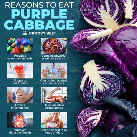 Cabbage Benefits, Salad Art, Sweet Custard, Small Soldiers, Cream Salad, Salad Appetizer, Salad Fruit, Purple Cabbage, Serbia And Montenegro