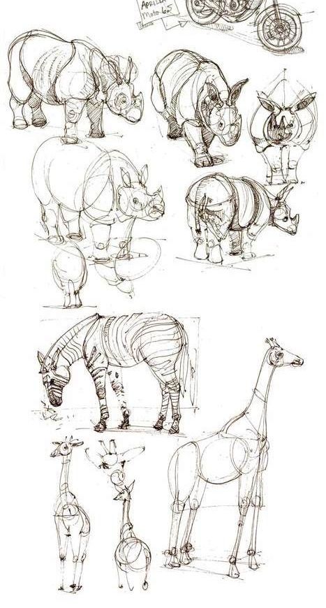 Animal Body Sketch, Animal Sketches Anatomy, Big Animals Drawing, Animal Anatomy Drawing, Anatomy Animals Study, Animal Practice Sketches, Animal Study Sketch Anatomy, People As Cartoons, Sketches Anatomy