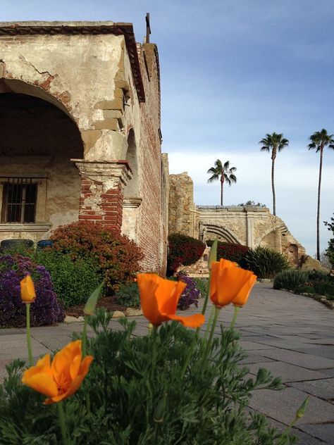 Mission San Juan Capistrano #California State Flower: Golden Poppy California State Flower, San Juan Capistrano Mission, Golden Poppy, Mission San Juan Capistrano, California Missions, San Juan Capistrano, California Dreaming, California State, Southern California