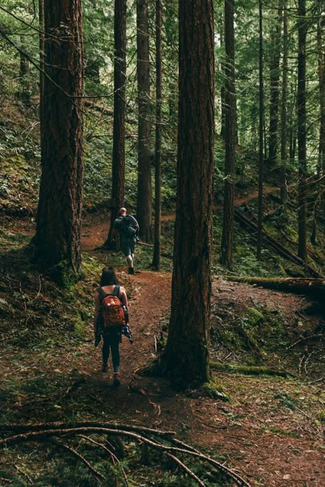 Wilderness Aesthetic, Walking In The Woods, Mountain Camping, Hiking Photography, Camping Aesthetic, Hiking Aesthetic, Adventure Aesthetic, Trik Fotografi, Salmon Recipes