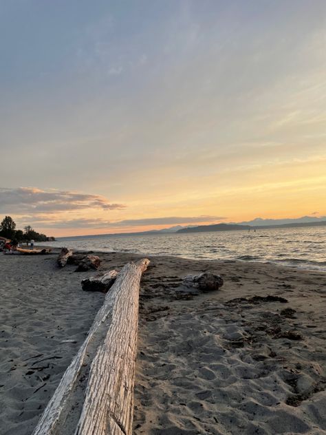 alki beach in seattle facing the water and sunset Seattle Alki Beach, Seattle Beach Aesthetic, Seattle Summer Aesthetic, Seattle Vibes, Seattle Summer, Alki Beach Seattle, Seattle Aesthetic, Seattle Beach, Summer In Seattle