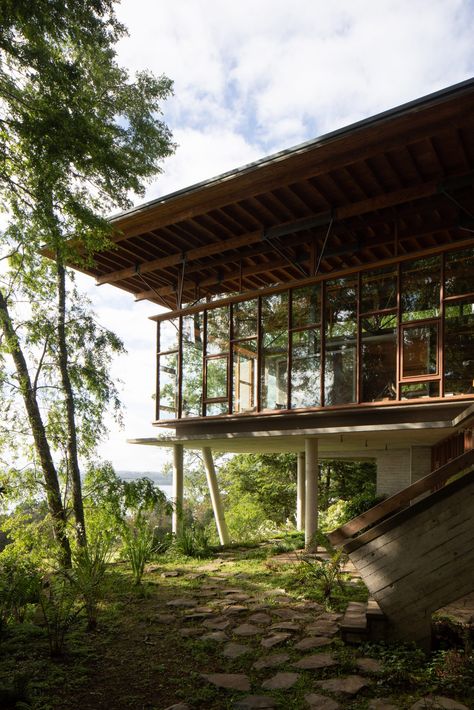 Stilted Apus House by Aguilo + Pedraza peeks through Chilean forest House On Stilts, Tropical Architecture, Clerestory Windows, Concrete House, Tropical House, Forest House, Mid Century Modern House, Family House, Patio Design