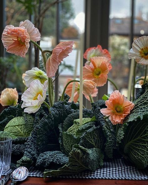 Table Still Life, Cabbage Flowers, Australian Brides, Icelandic Poppies, Church Candles, Cabbages, Wedding Tablescapes, Garden Party, Tablescapes