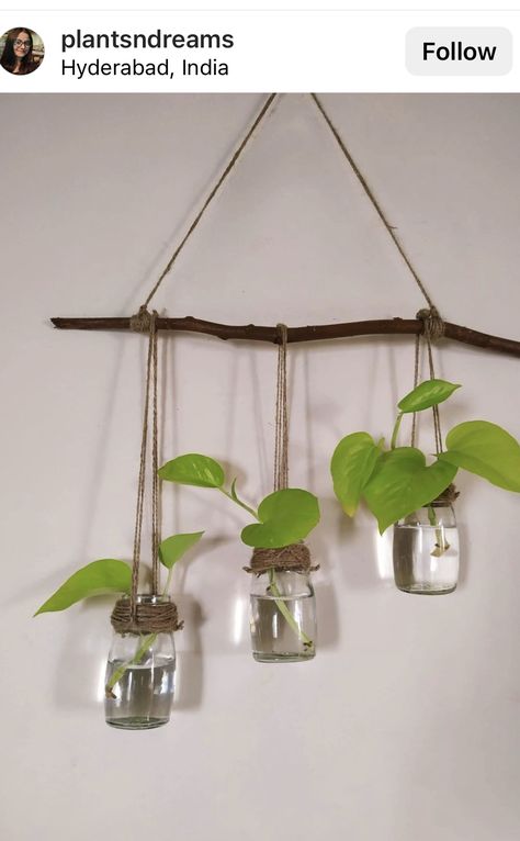 Diy Hanging Plant Rack Indoor, Hanging Plants In Bottles, Diy Plant Wall Hanger, Cute Diy Room Decor, Diy Plant Hanger, Kitchen Home Decor, Plant Decor Indoor, Plant Aesthetic, House Plants Decor