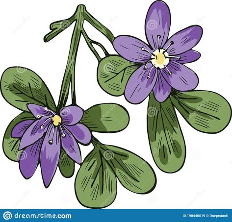 Lignum Vitae Flower, Green Leaves Illustration, Lignum Vitae, Avant Grade, Leaves Illustration, Botanical Beauty, Flower Fairy, Green Leaves, Blue Flowers