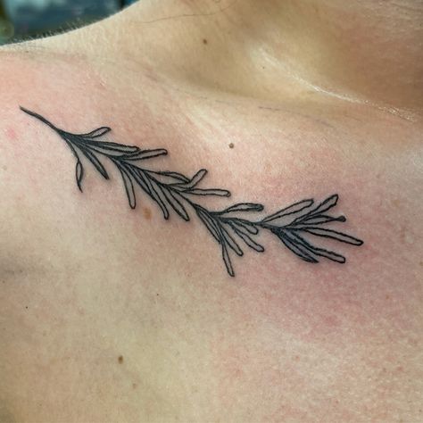 #tattoo #minimalist #minimal Rosemary Branch Tattoo, Rosemary Drawing, Basil Tattoo, Rosemary Tattoo, Stem Tattoo, Branch Tattoo, Tattoo Minimalist, Tasteful Tattoos, Stamp Ideas