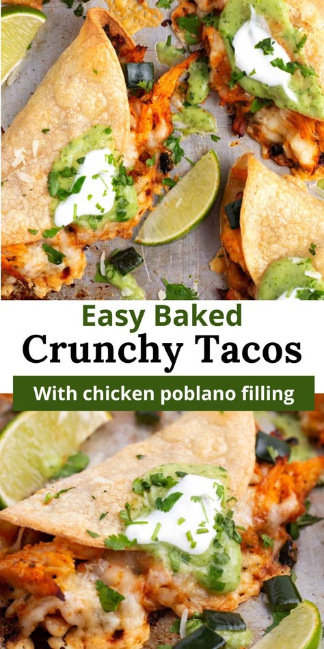 Make dinner a breeze with these easy crunchy baked chicken tacos! Stuffed with seasoned chicken breast, poblanos, and onions, then topped with gooey cheese, these tacos are baked to crispy perfection in the oven. Perfect for a quick and delicious weeknight dinner! Crispy Pablo Chicken Tacos, Baked Ground Chicken Tacos, Crispy Poblano Chicken Tacos, Chicken Poblano Tacos, Poblano Chicken Tacos, Crispy Baked Chicken Tacos, Baked Crispy Chicken Tacos, Baked Chicken Tacos Oven, Crispy Chicken Tacos Oven Baked