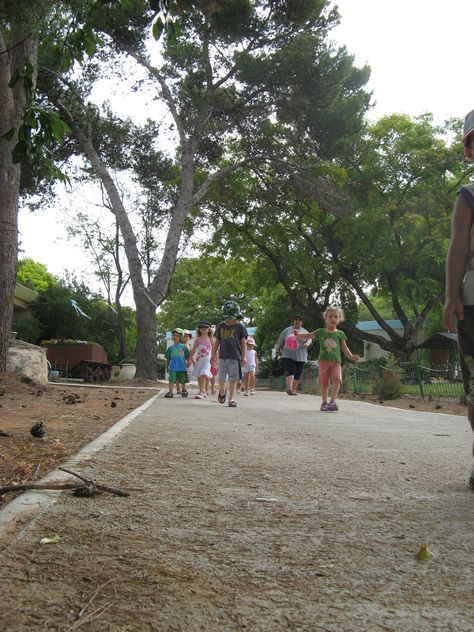 children in the kibbutz - kibbutz magal Milk And Honey, Honey, Milk, Lifestyle, Quick Saves