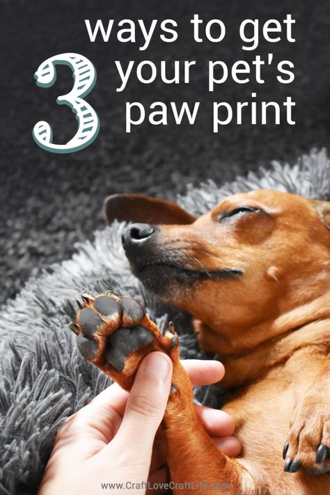 Dog Paw Print Craft, Dog Paw Art, Dog Paw Print Art, Paw Print Crafts, Holiday Pet Photos, Paw Print Art, Paw Painting, Paw Art, Puppy Paw Prints